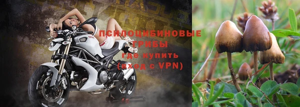 a pvp Алексеевка