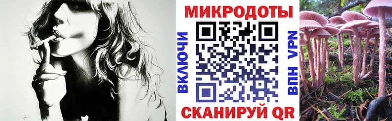 blacksprut вход  Пучеж  Галлюциногенные грибы Psilocybe  наркота 